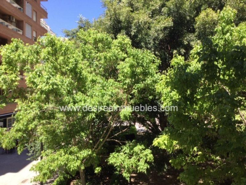 For rent of office in Valencia
