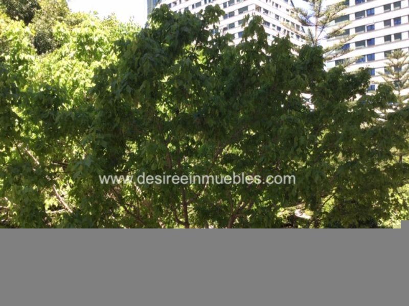 For rent of office in Valencia