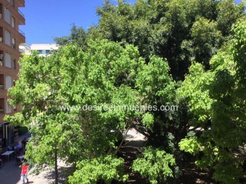 For rent of office in Valencia