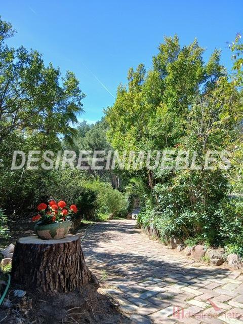 Venta de chalet en Náquera