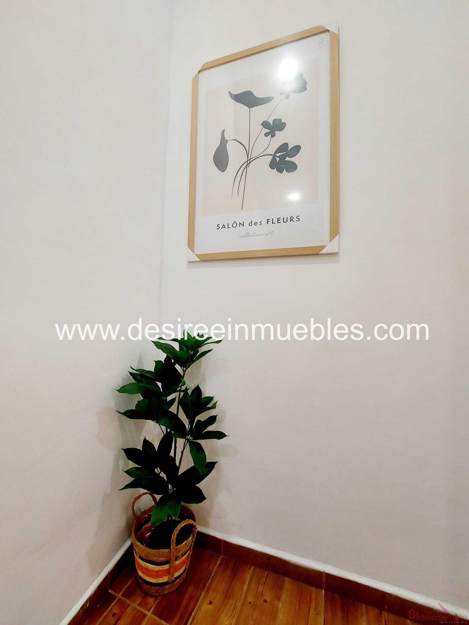 For rent of flat in Valencia