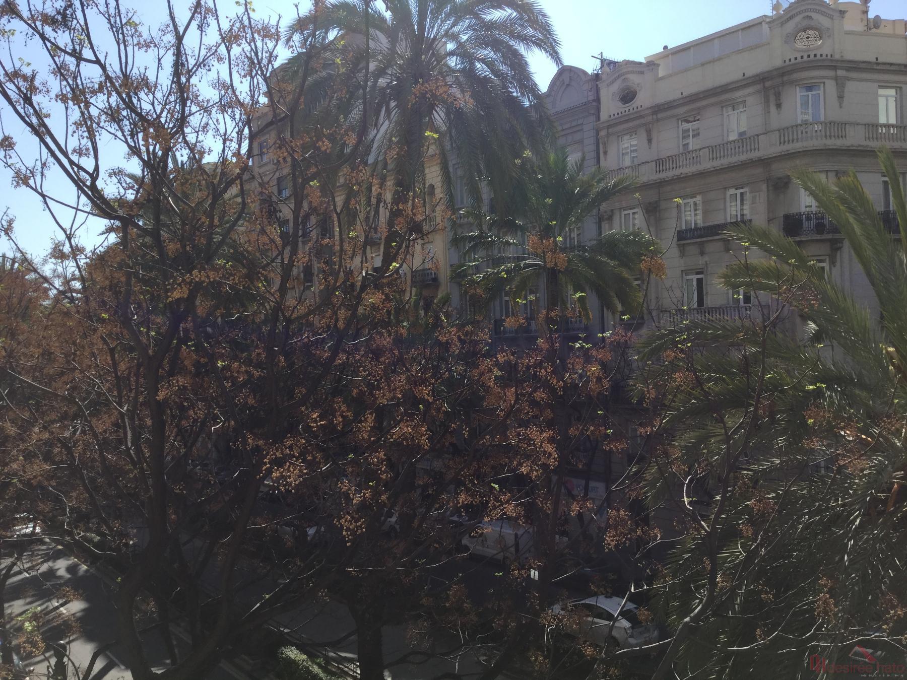 Til leje fra kontor i Valencia