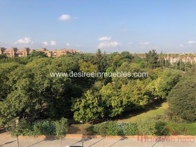 For rent of flat in Valencia