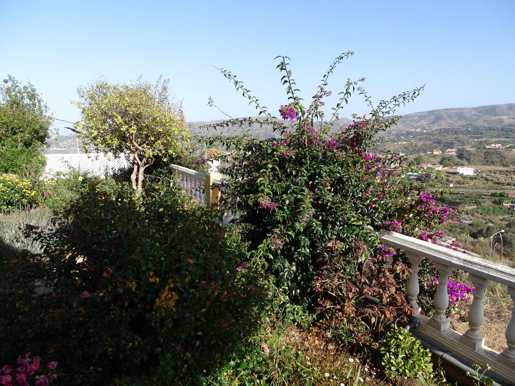 For sale of chalet in Santa Brígida