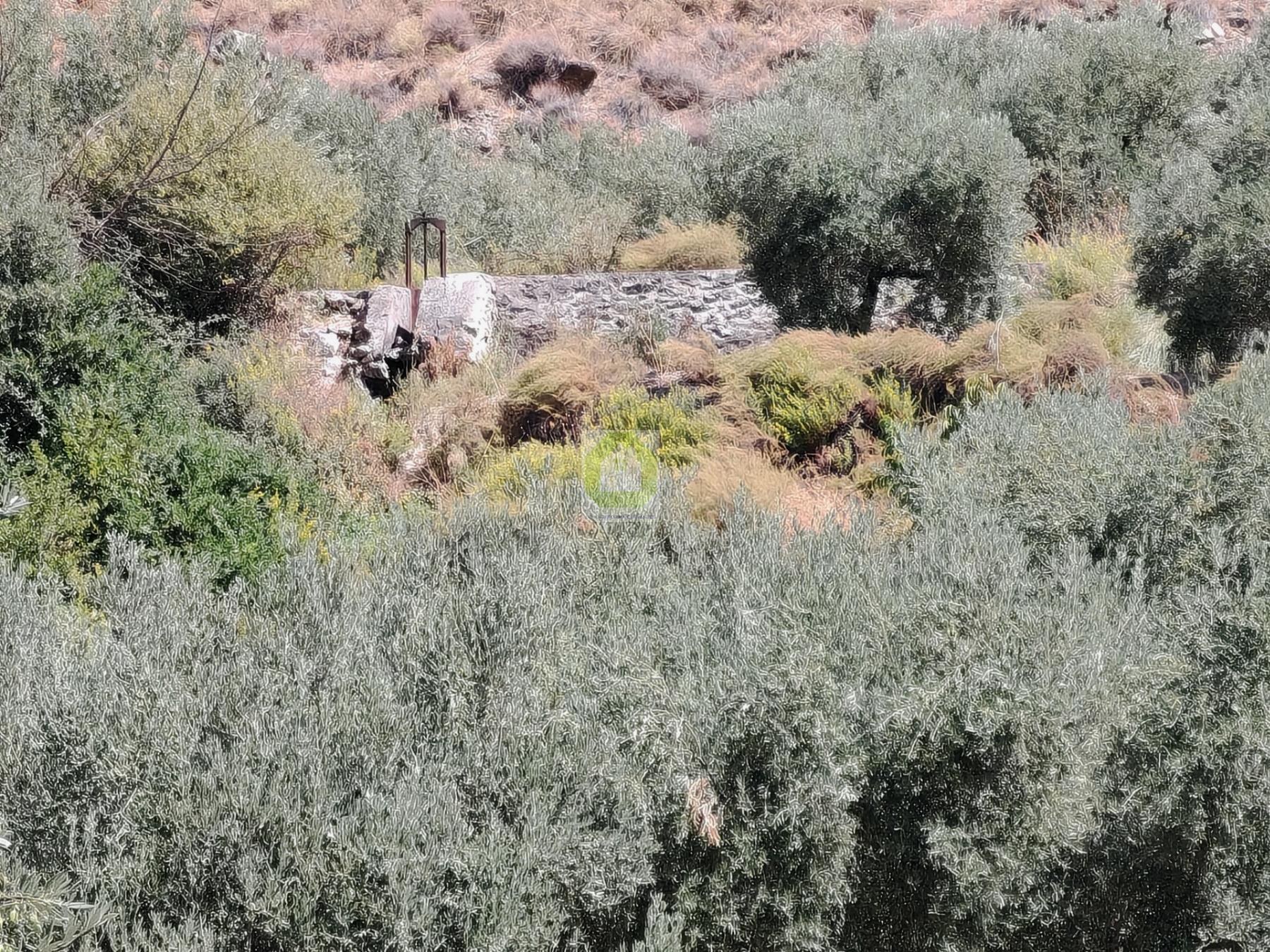 Venta de terreno en Dílar
