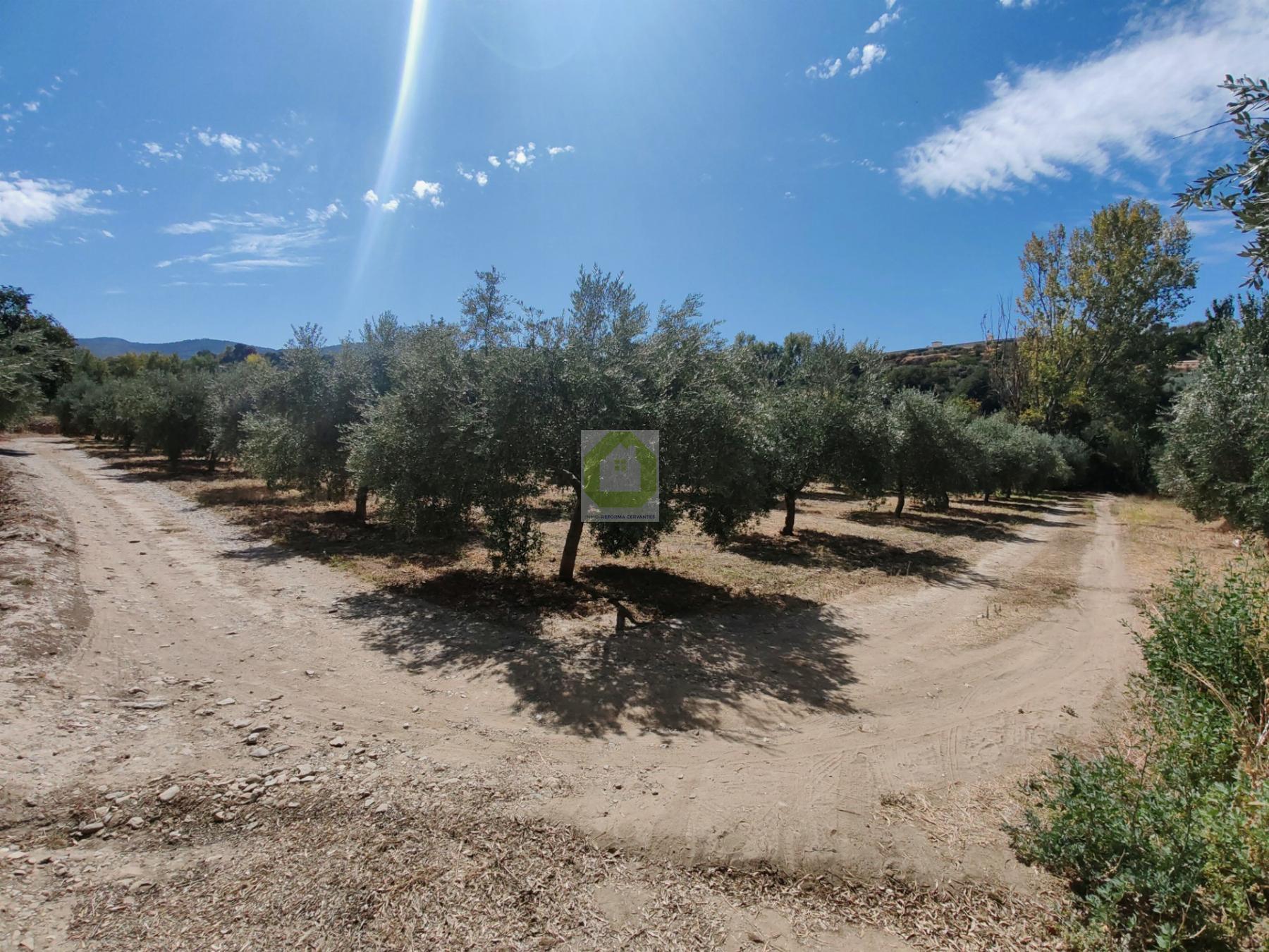 Venta de terreno en Dílar