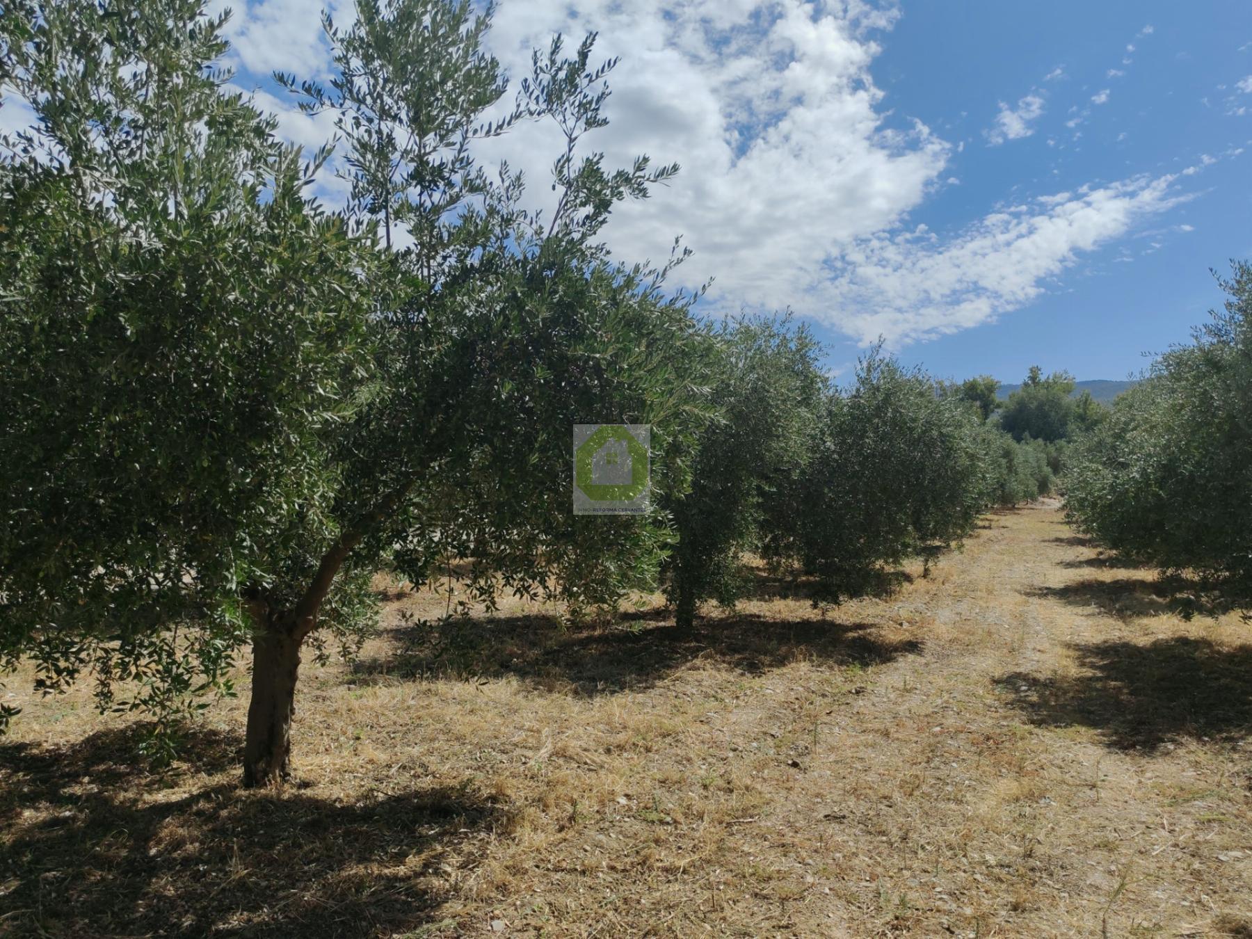 Venta de terreno en Dílar