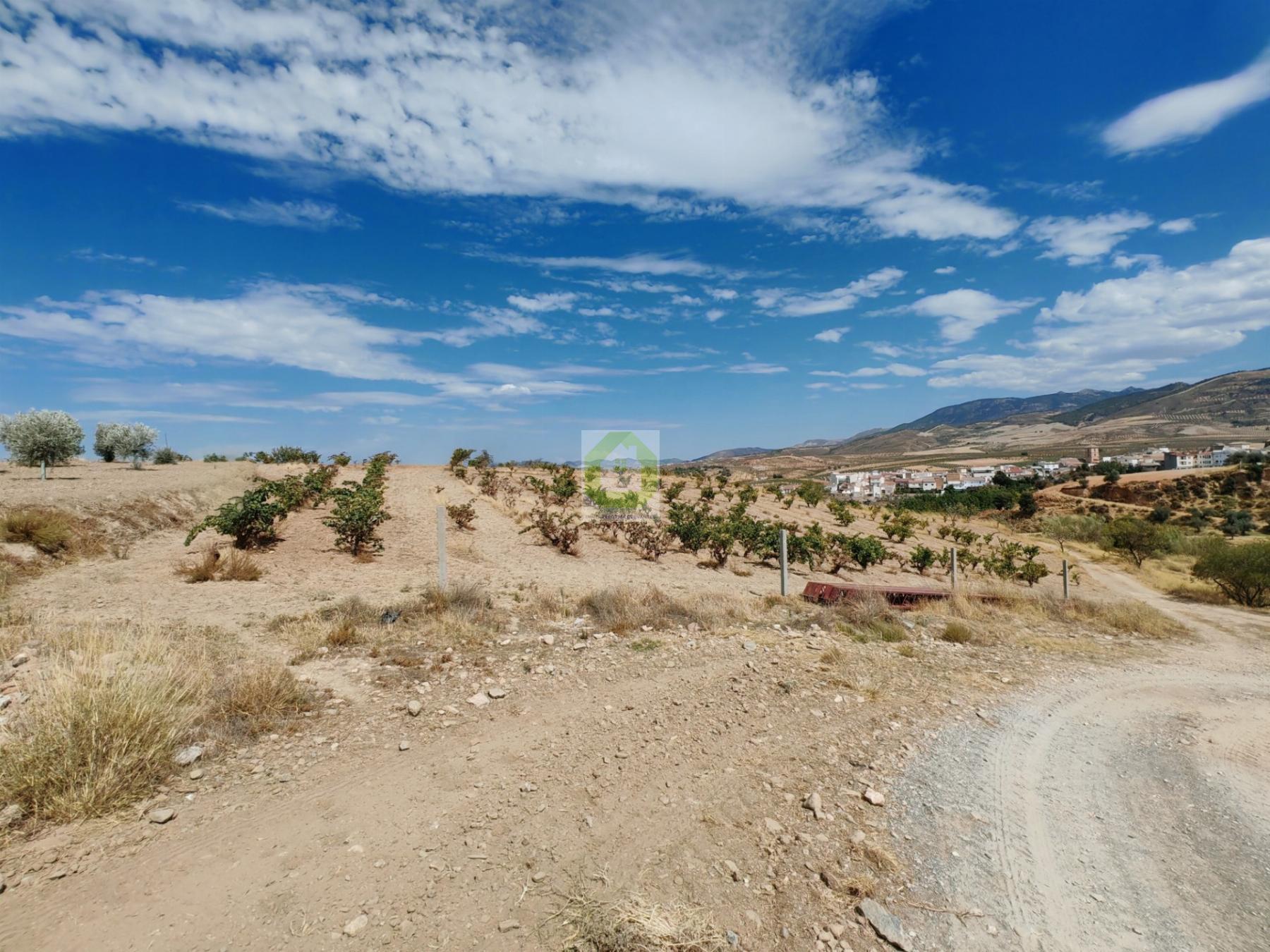 Venta de terreno en Dílar