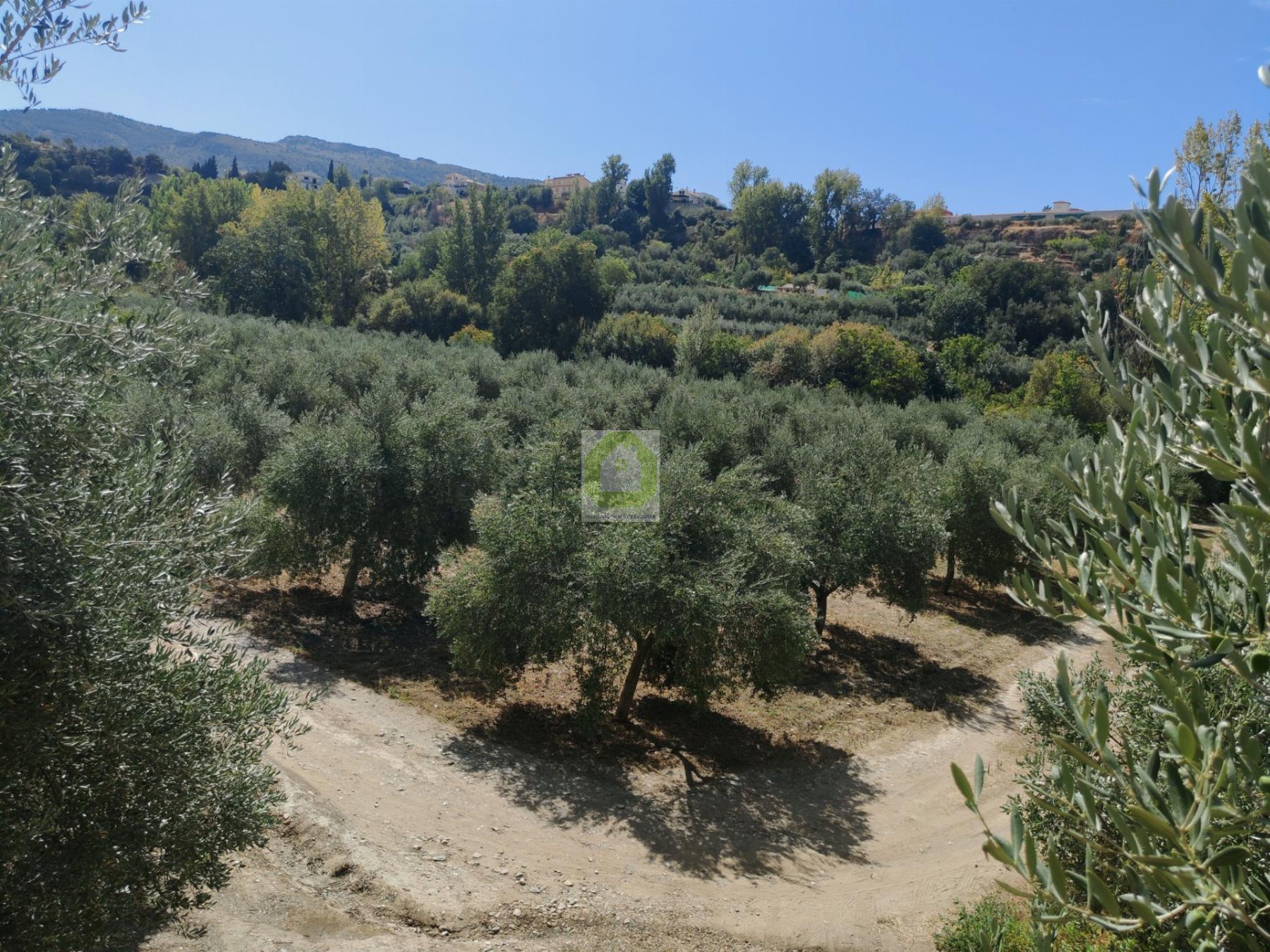 Venta de terreno en Dílar