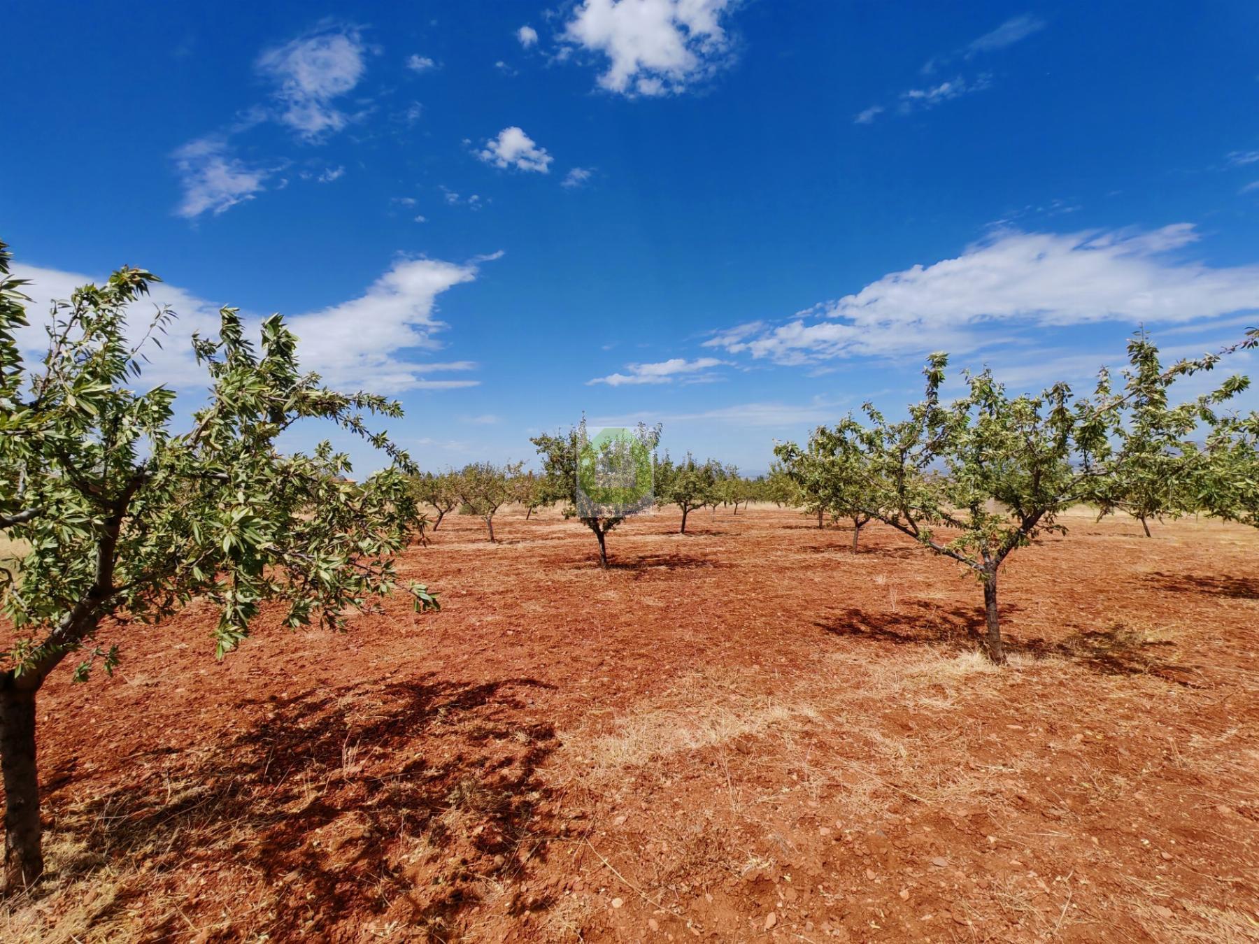 Venta de terreno en Dílar