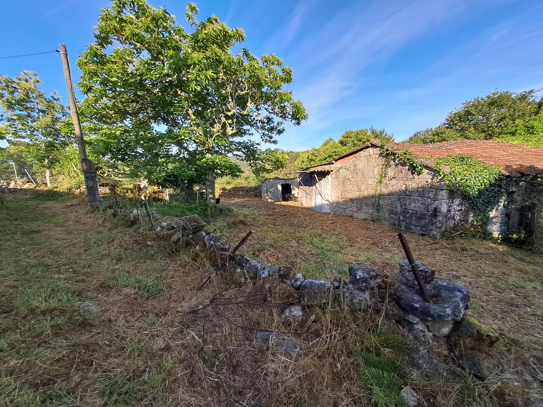 For sale of house in Fornelos de Montes