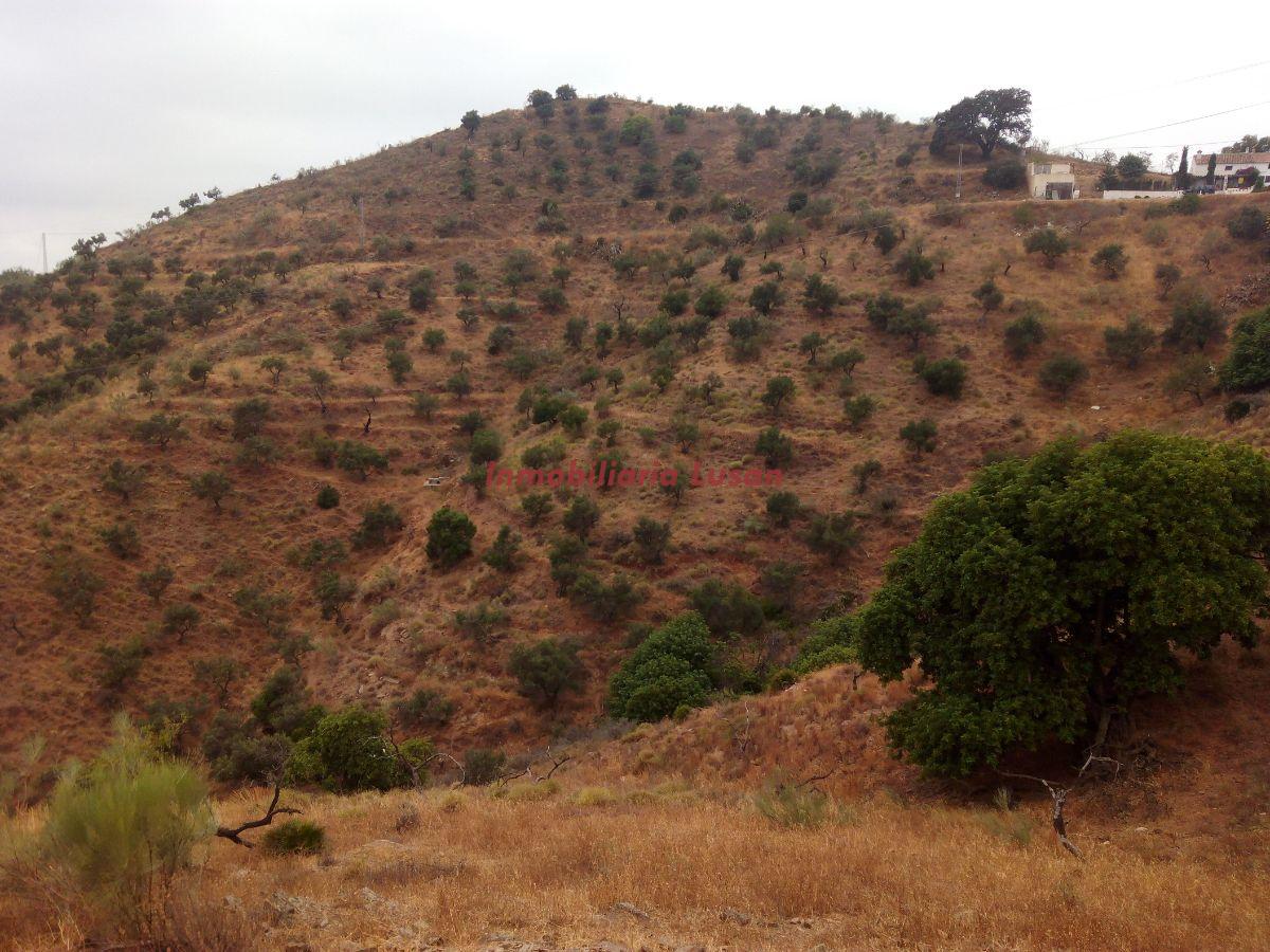 Venta de finca rústica en Málaga