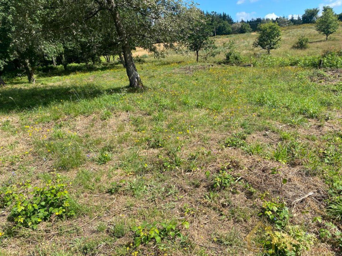 Venta de finca rústica en Lugo