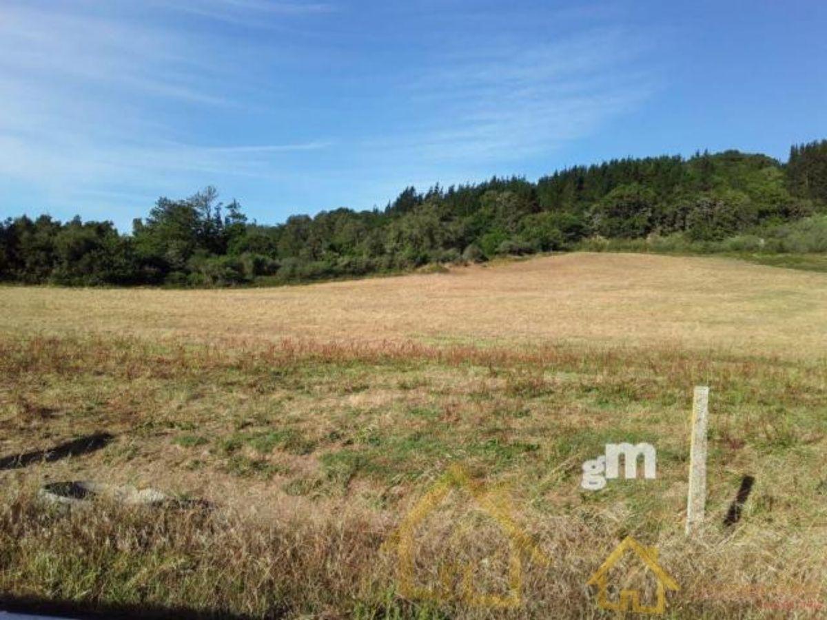 For sale of land in Lugo