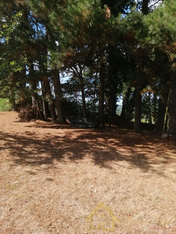 For sale of  in Lugo