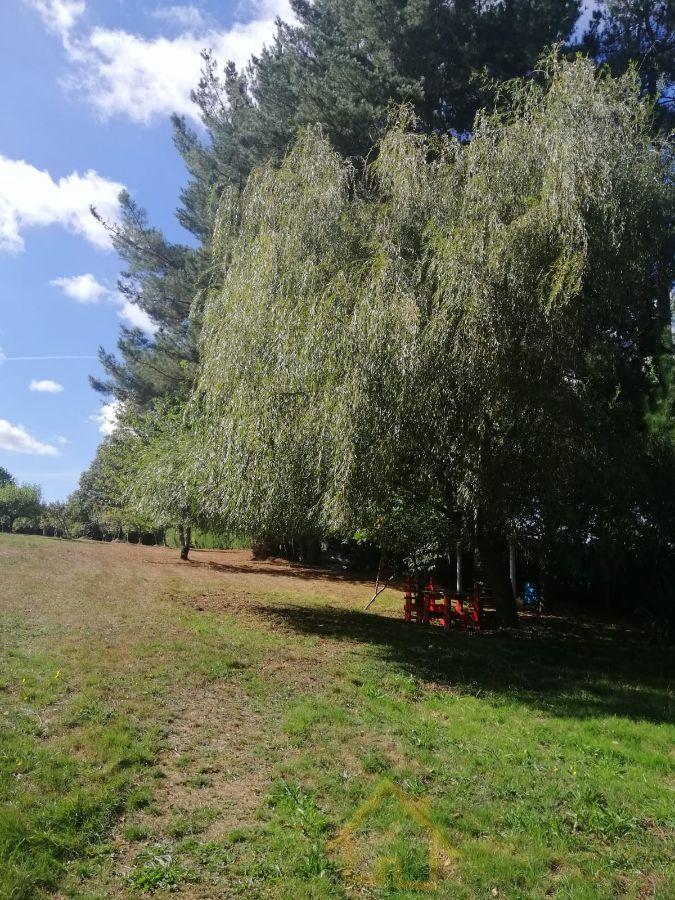 For sale of  in Lugo
