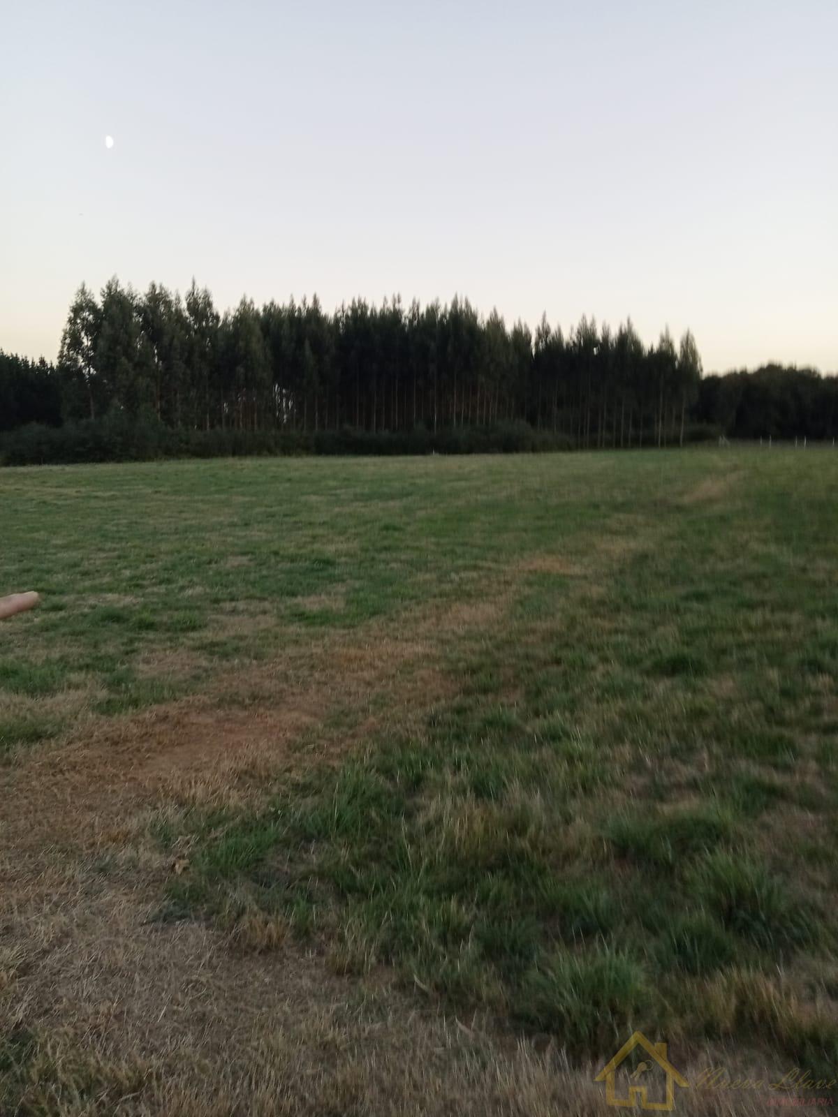 For sale of land in Lugo