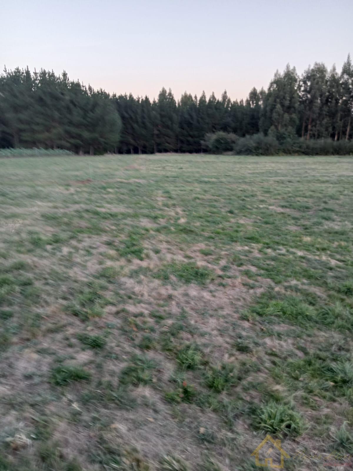 Venta de terreno en Lugo