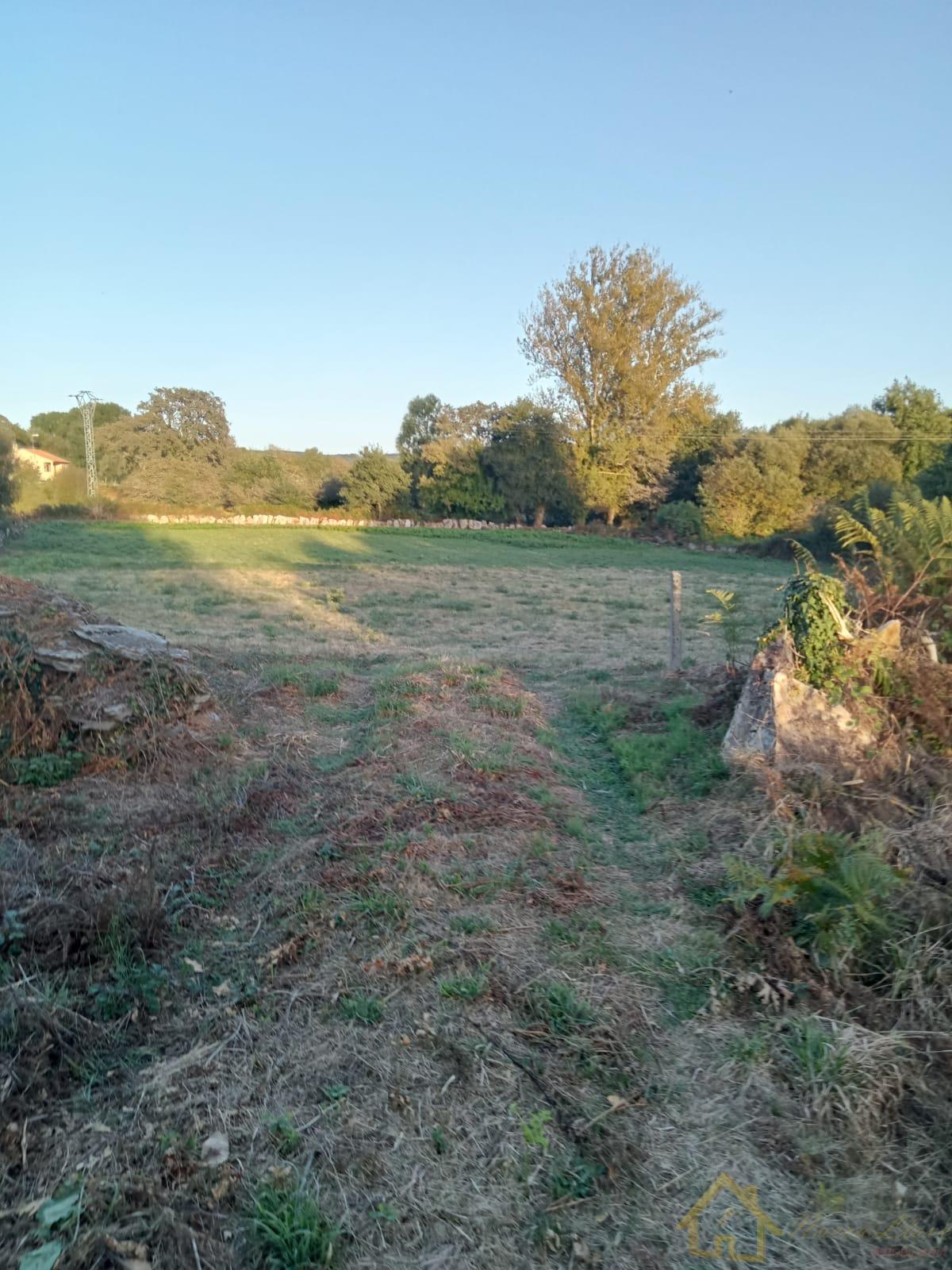 For sale of land in Outeiro de Rei