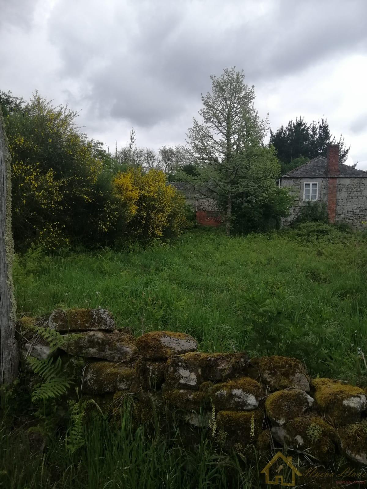 Surroundings