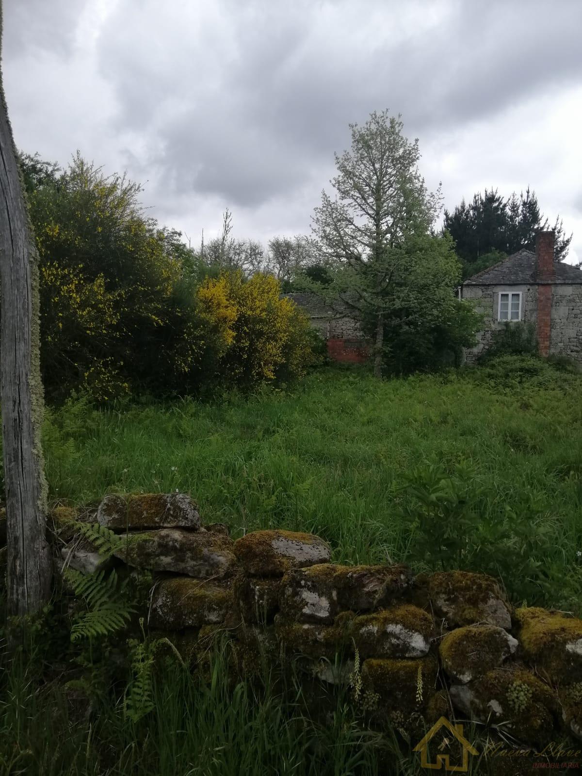 Surroundings