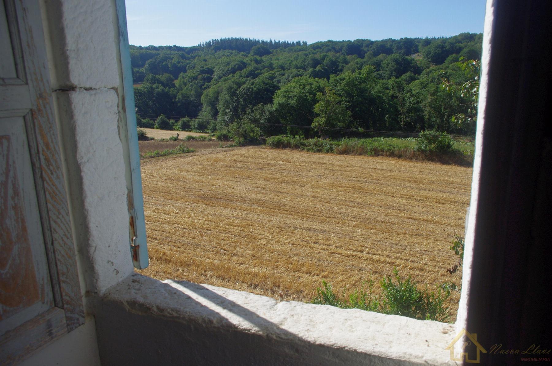 Surroundings