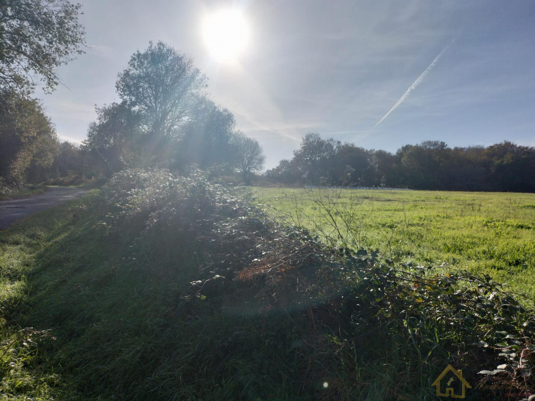 Venta de finca rústica en Sarria