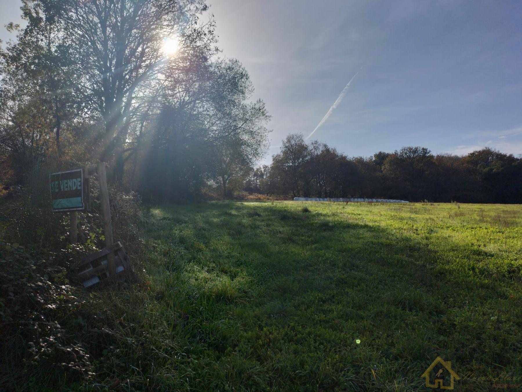 Venta de finca rústica en Sarria