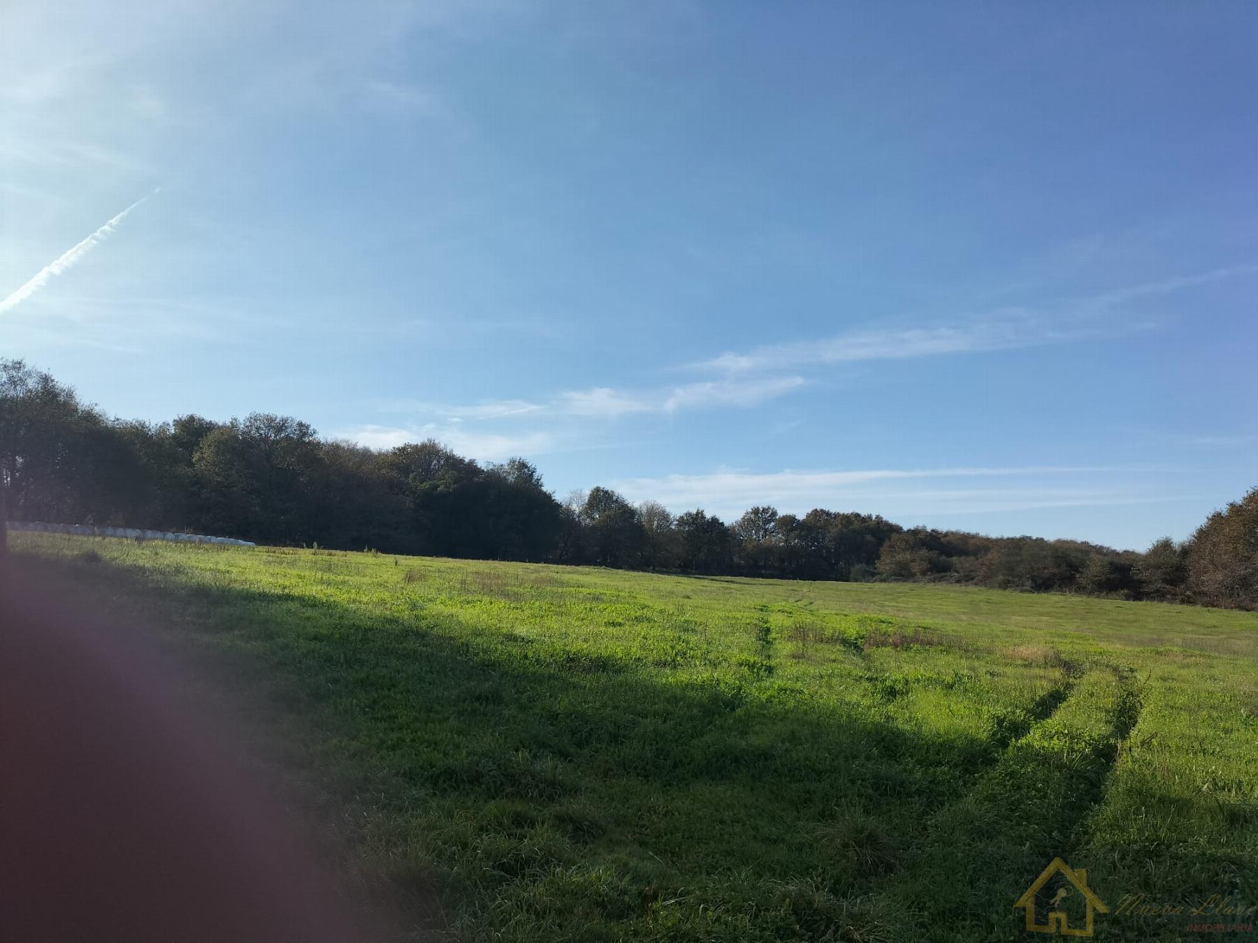 Venta de finca rústica en Sarria