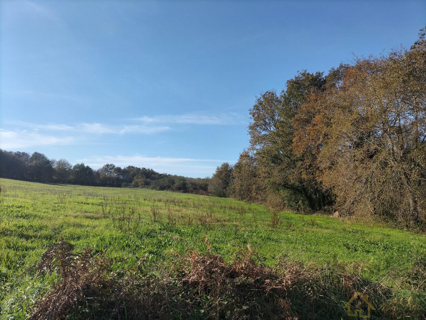 Venta de finca rústica en Sarria
