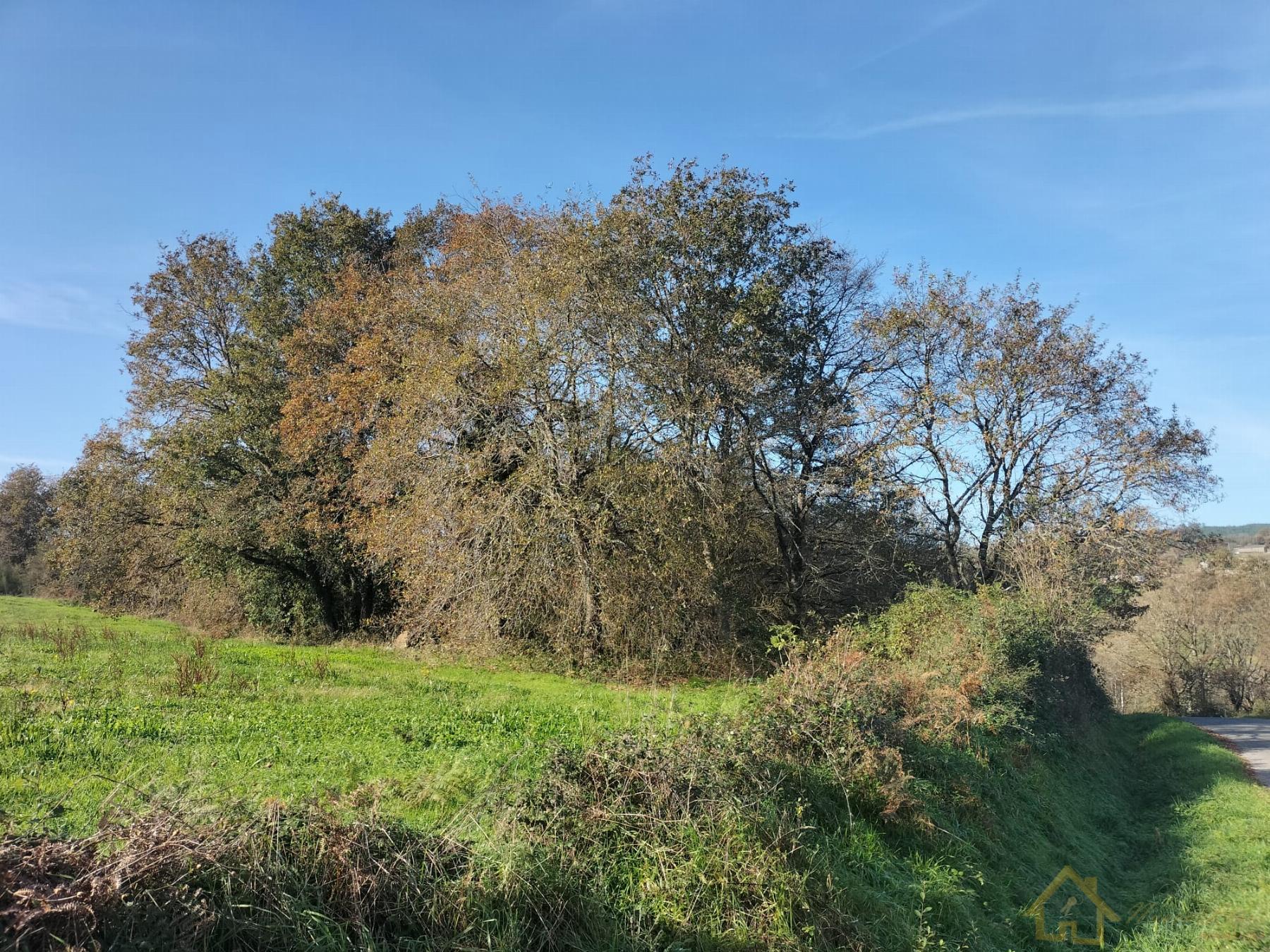 Venta de finca rústica en Sarria
