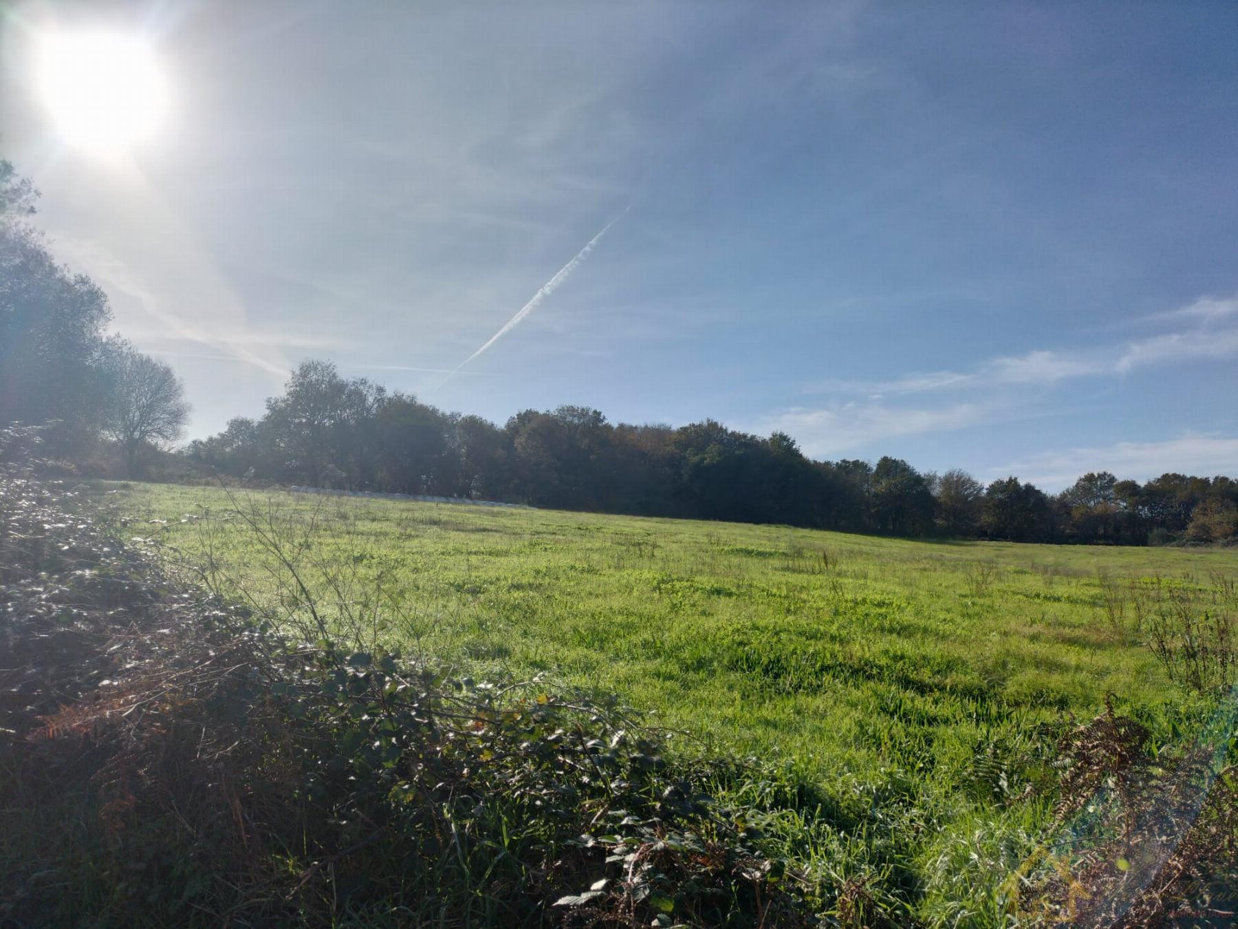 Venta de finca rústica en Sarria