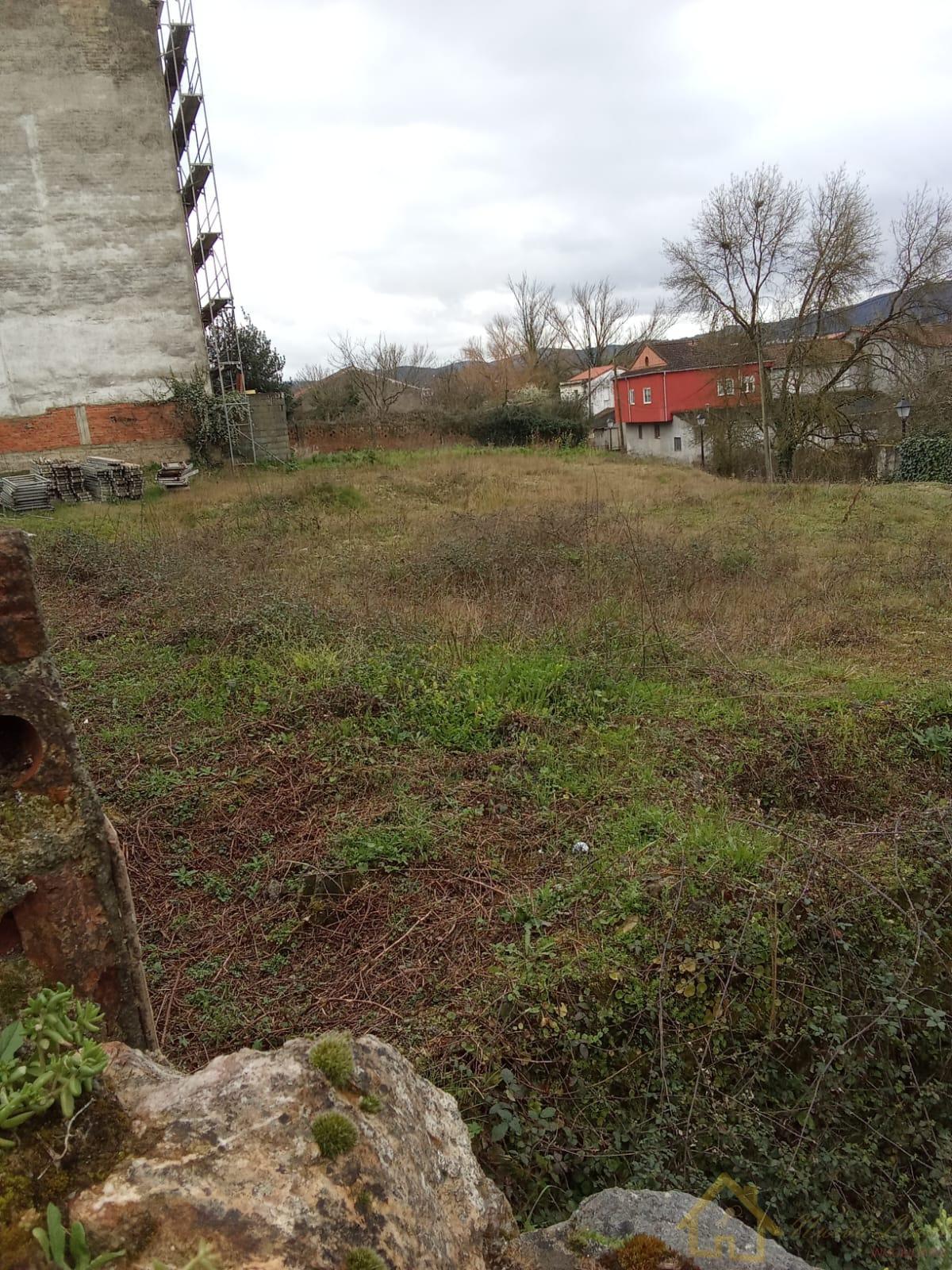 For sale of land in Monforte de Lemos