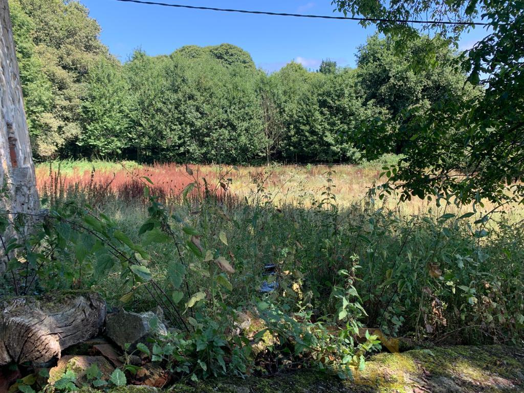 Alrededores Alrededores