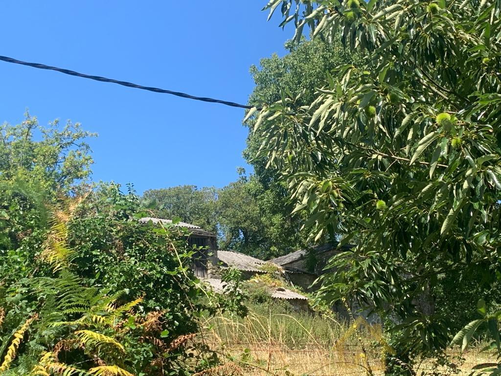 Surroundings
