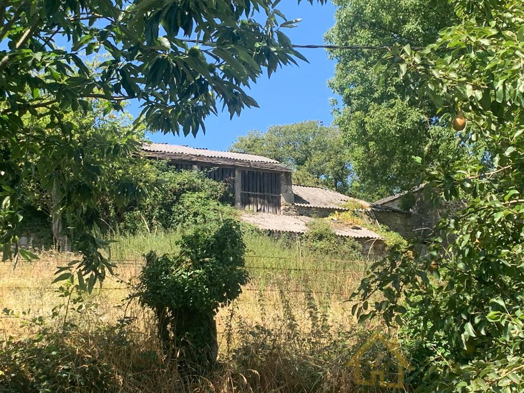 Venta de casa en Friol Venta de casa en Friol