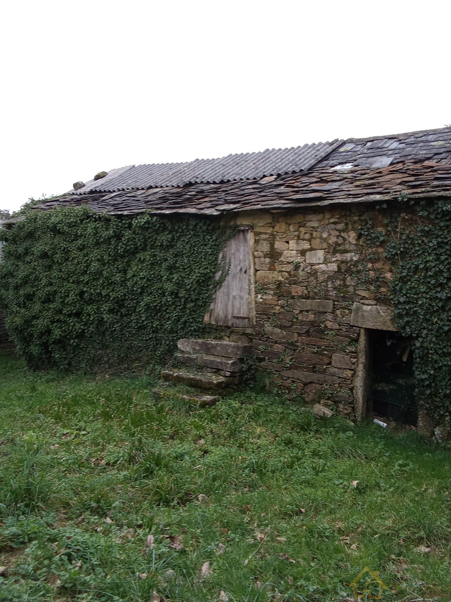 Surroundings