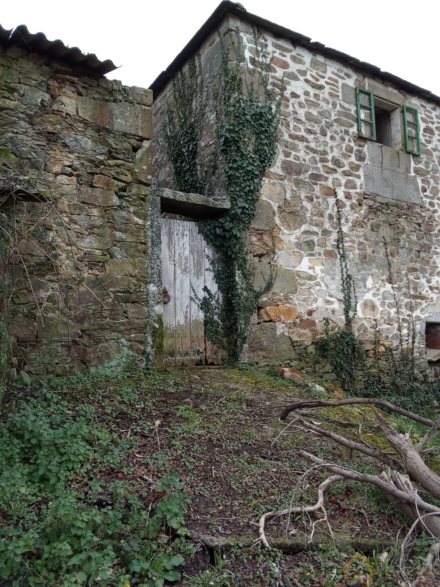 Surroundings