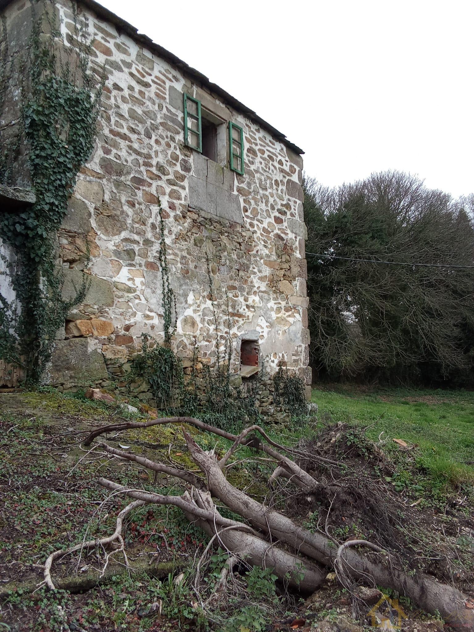 Surroundings