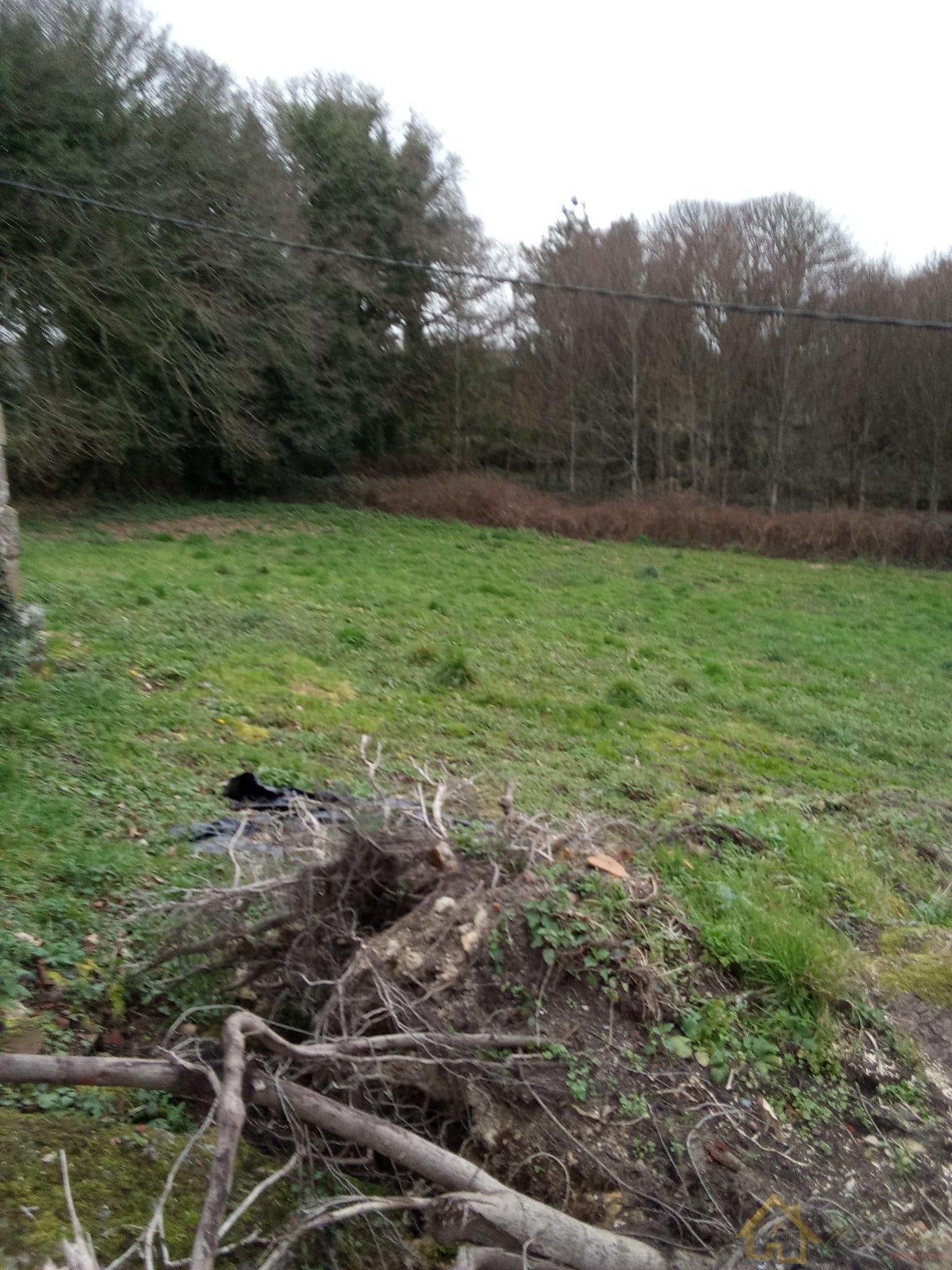 Venta de casa en Friol Venta de casa en Friol