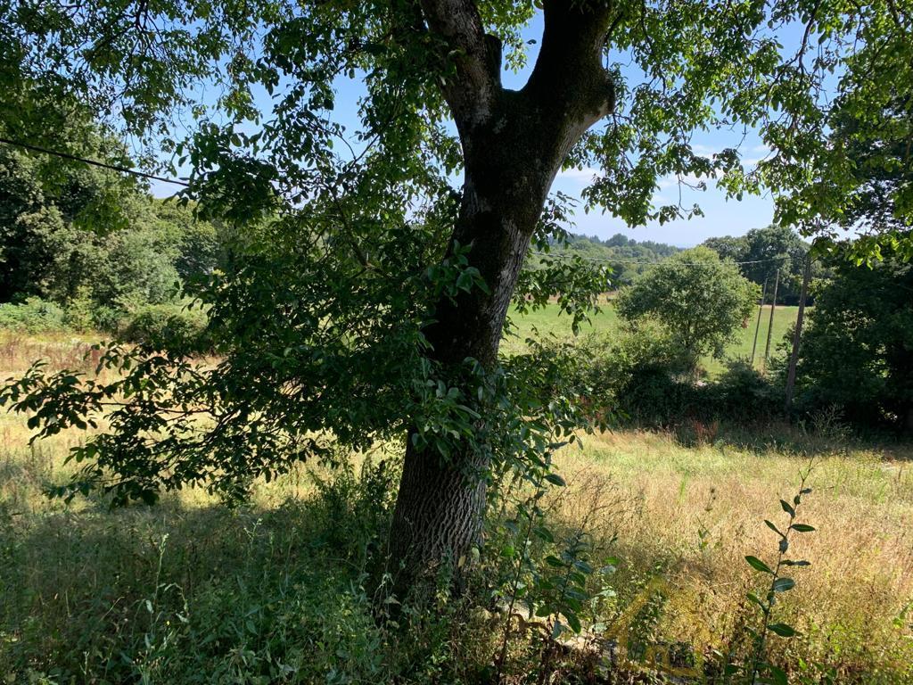 For sale of house in Friol