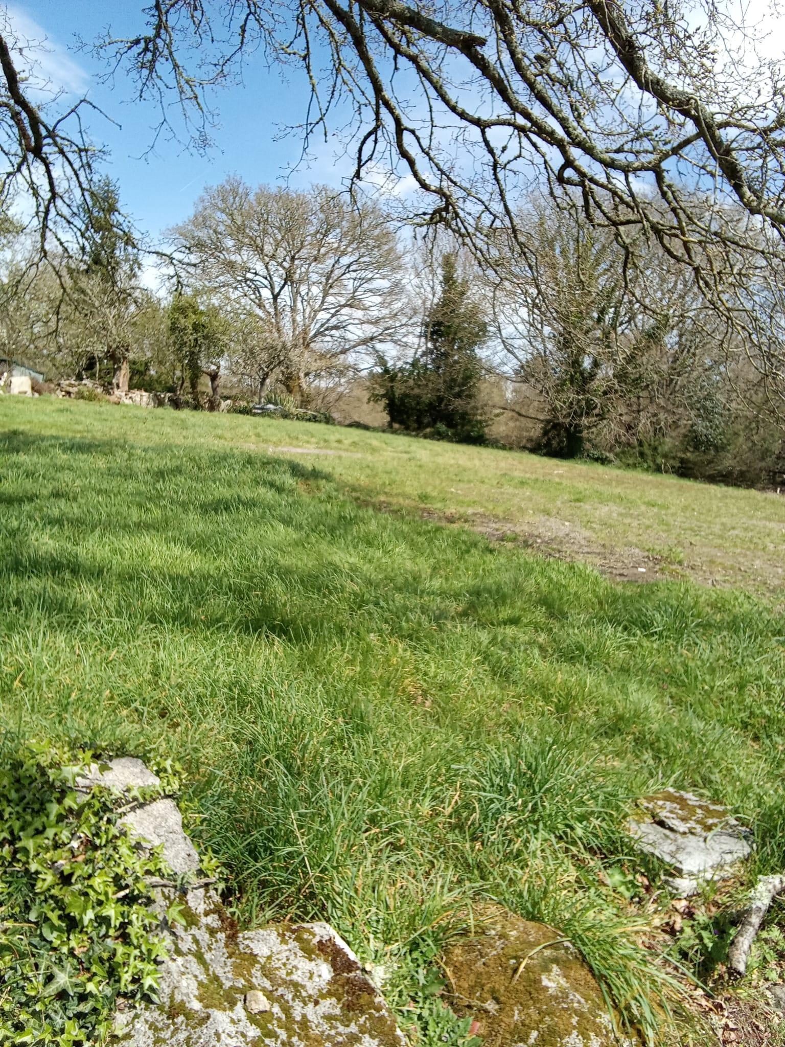 For sale of land in Lugo