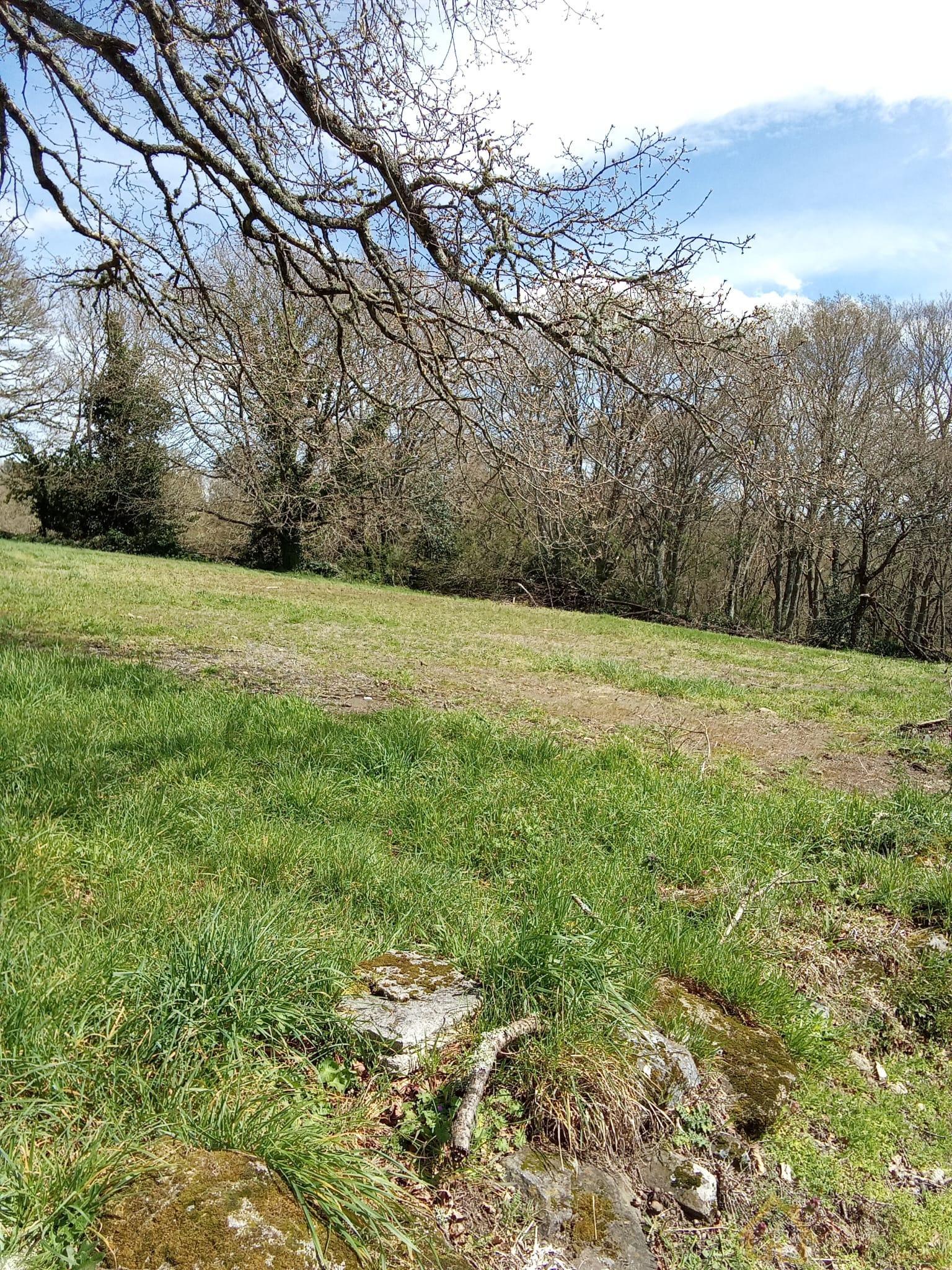 For sale of land in Lugo