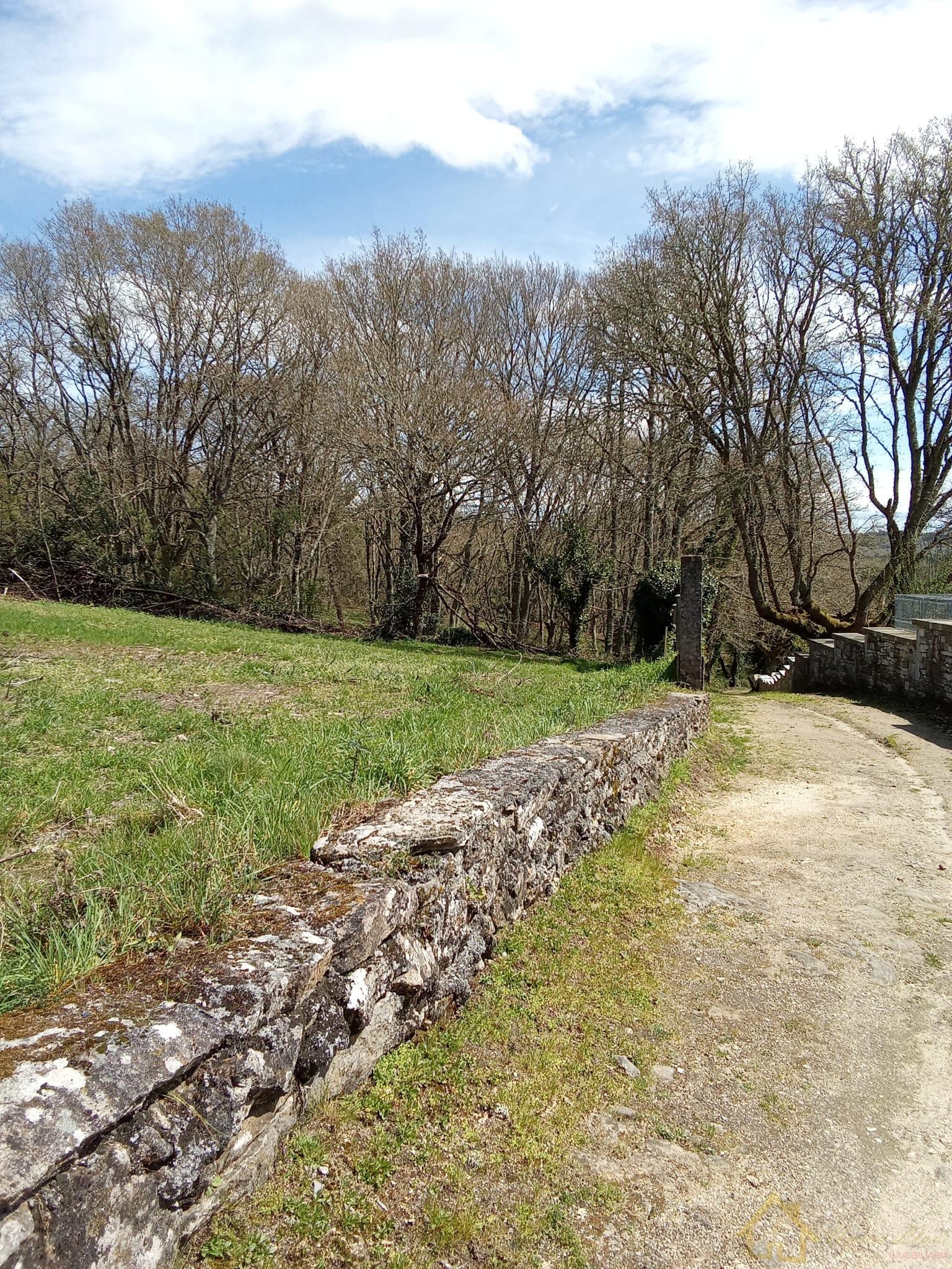 For sale of land in Lugo