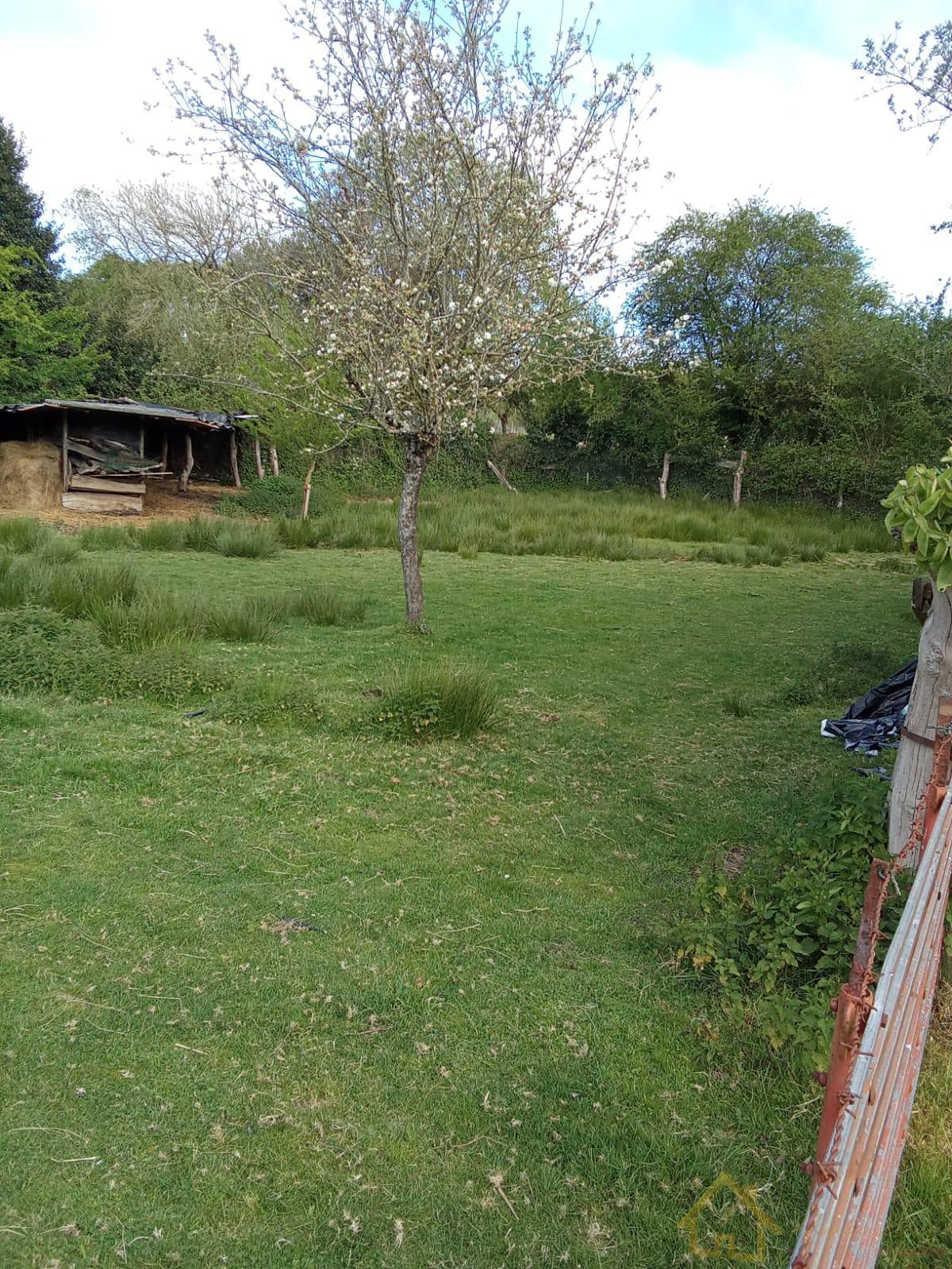 Ground