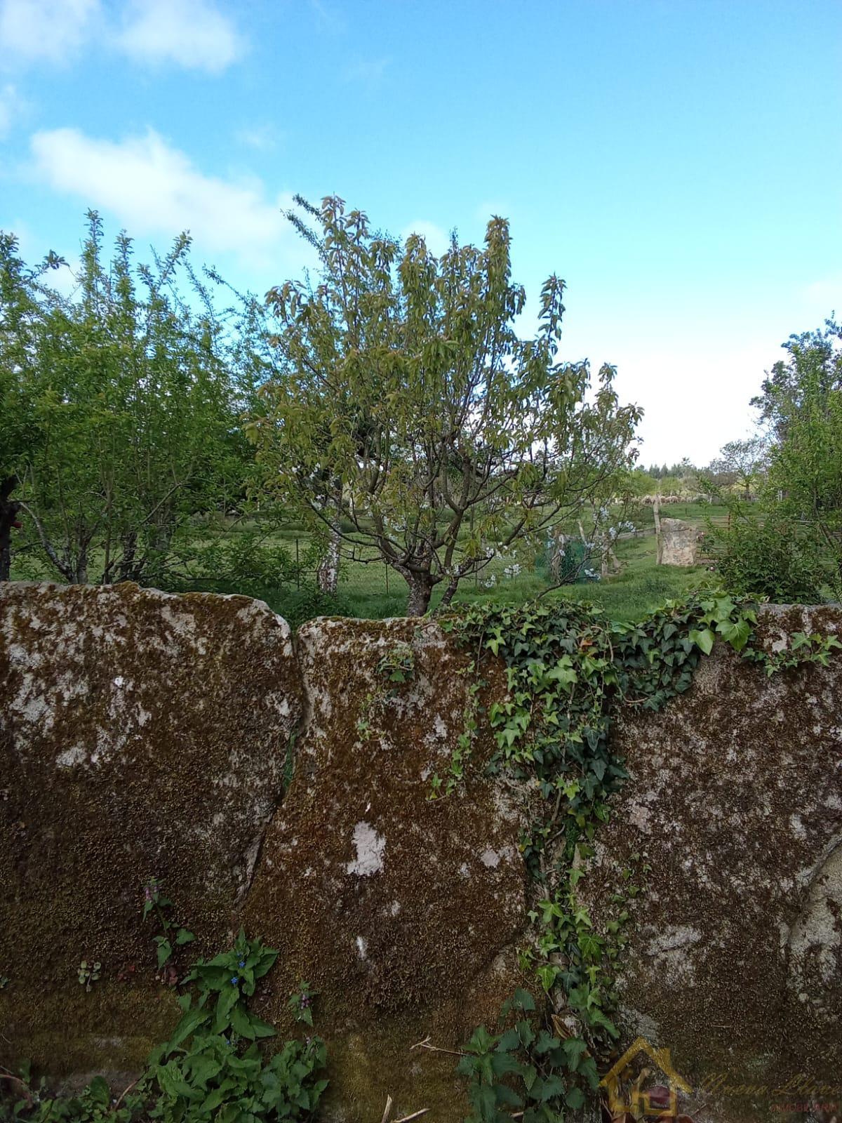 Ground