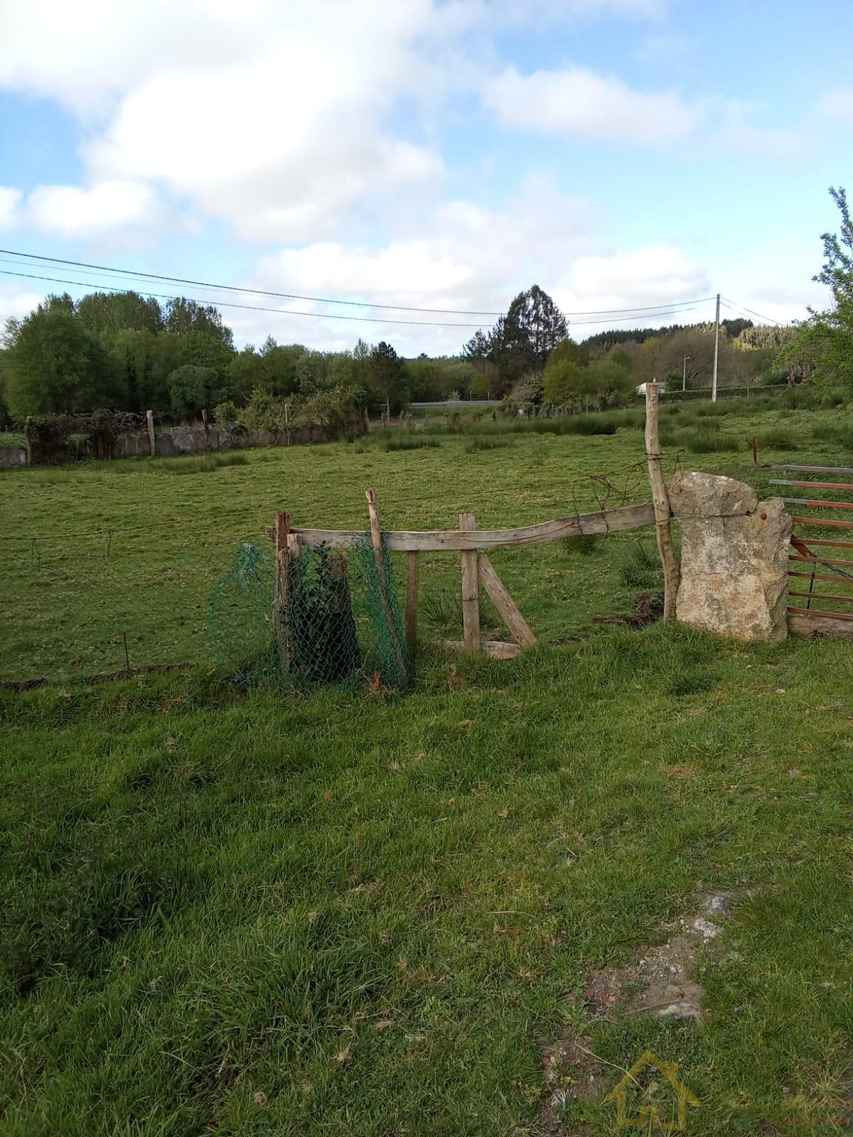 Ground
