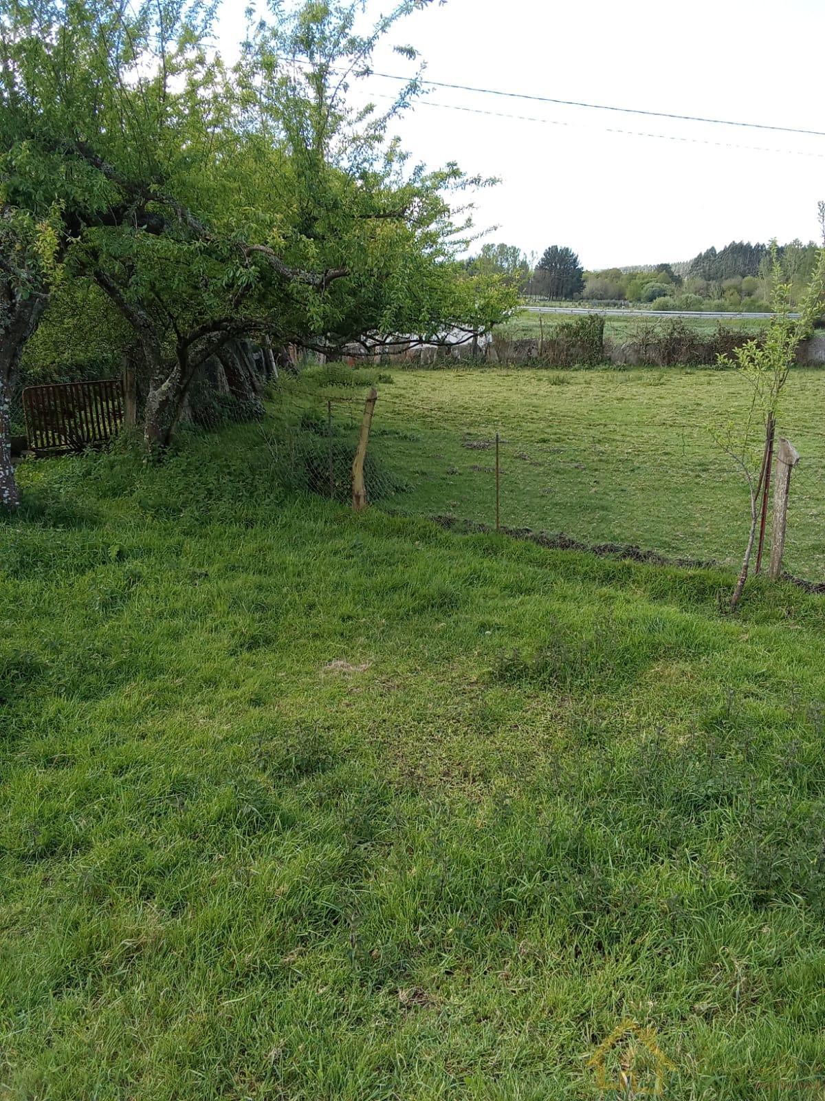 Ground