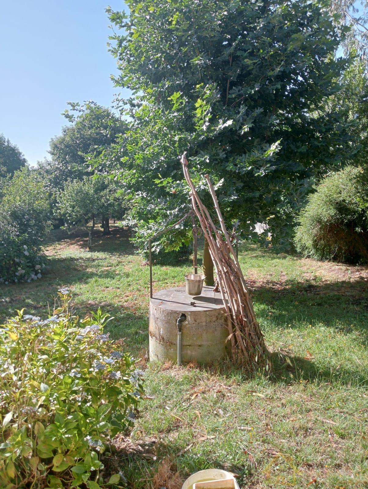 Jardín