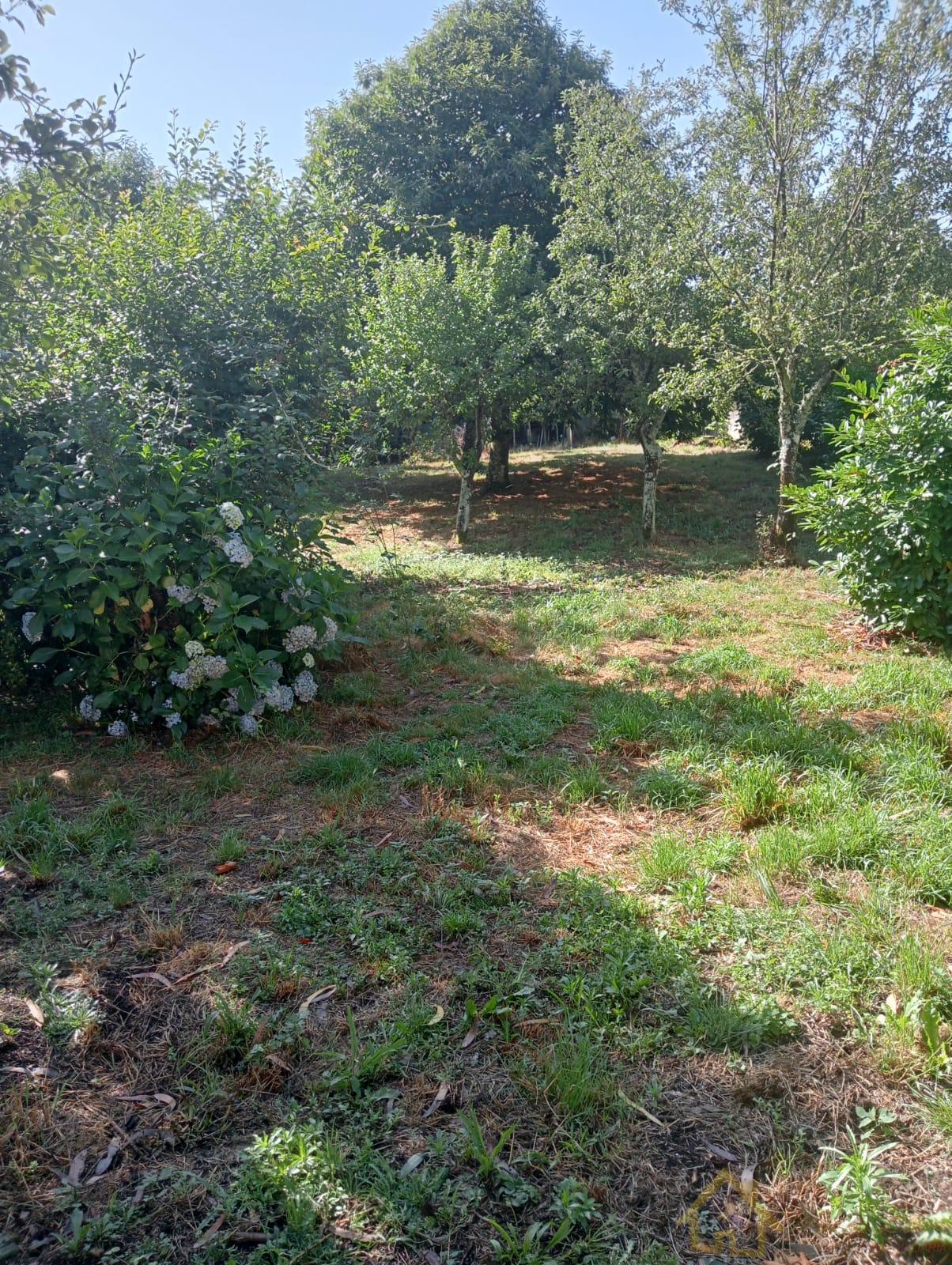 Jardín